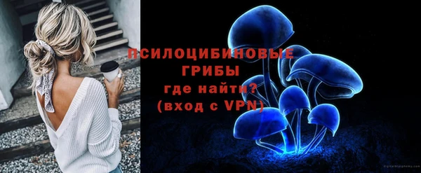 индика Щучье