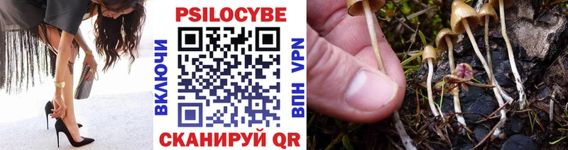 купить   Юрьевец  Псилоцибиновые грибы ЛСД 